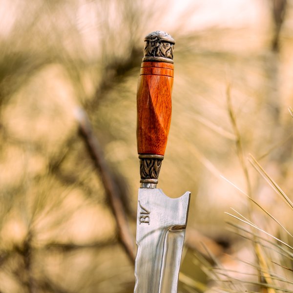 fotos site bv 2025 03 18t150837 514